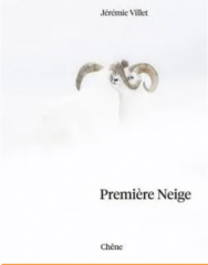 Capture d’écran 2025-06-20 à 08.49.58.png